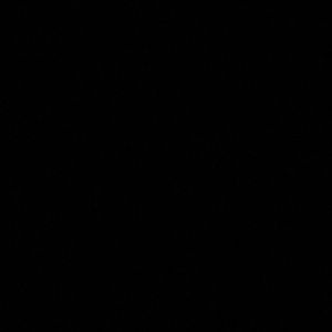 Meet your Posher, Cynthia